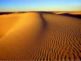 /album/fotogaleria/imagescaadyet7-jpg/